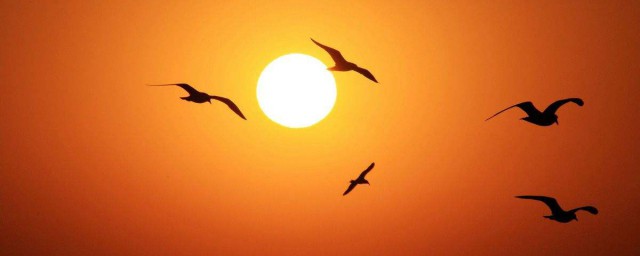 太陽西下倦鳥已歸時是什麼歌 歌詞太陽西下倦鳥已歸時是哪一首歌