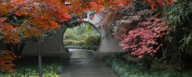 成都周邊紅葉的旅遊景點 趕緊收藏