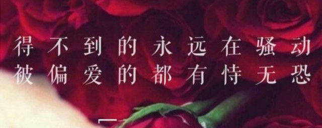 得不到的永遠在騷動出自哪裡 得不到的永遠在騷動是哪首歌的歌詞