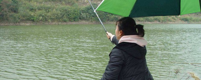 九月用路亞能釣黑魚嗎 九月用路亞釣黑魚好釣嗎