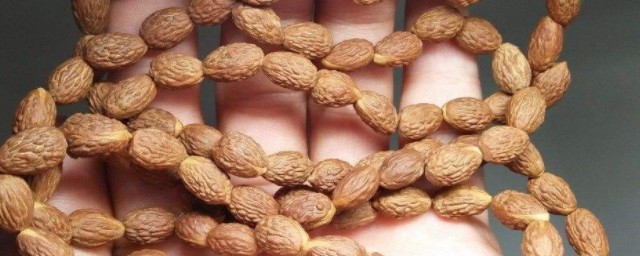 棗核的功效與作用 看完之後你會多吃棗核嗎