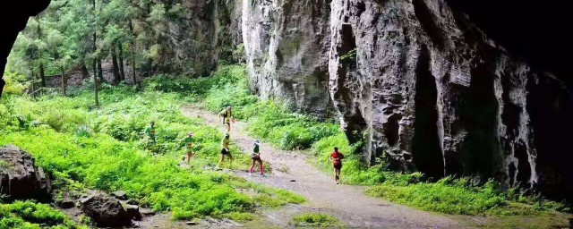 湖北利川旅遊景點 看看你去過幾個