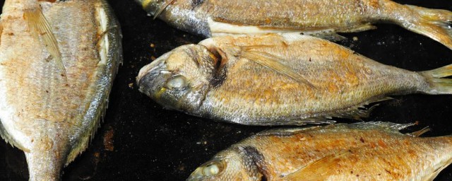 餐條魚怎麼做好吃 餐條魚的制作方法