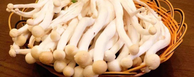 海鮮菇搭配禁忌 喜歡做飯的人要知道這些