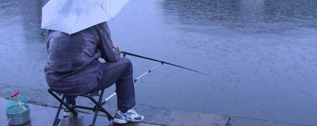 秋天下雨天釣魚的三大技巧 一釣一個準