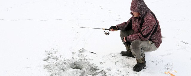 冰釣鯽魚用什麼餌 冰釣鯽魚的餌料配方