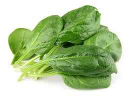 spinach