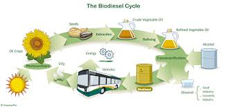 biodiesel