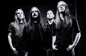 carcass