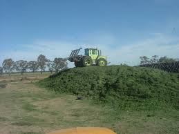 silage