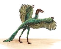 archaeopteryx