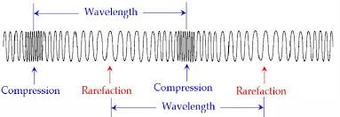 longitudinal