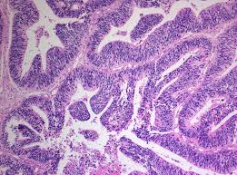 histology