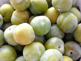 greengage