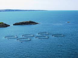 aquaculture