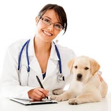 veterinary