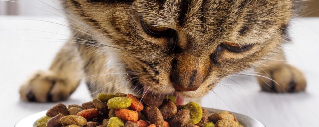 海瑞特貓糧怎麼樣 健康嗎