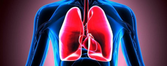 肺實質與間質的區別 肺實質與間質有什麼區別