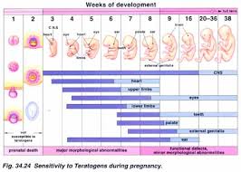 teratogenic