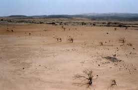 desertification