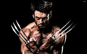 wolverine