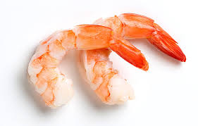 shrimp