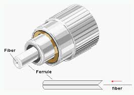 ferrule