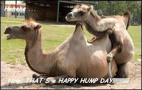 hump