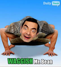 waggish