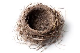 nest