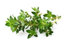 thyme