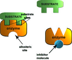 substrate