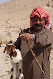 Bedouin