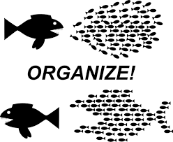 organize