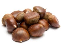 chestnut