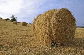 haystack