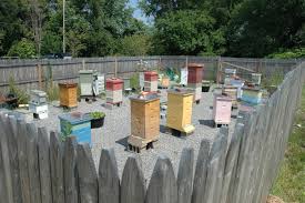 apiary