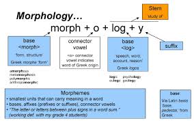 morphology