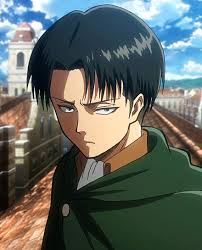 Levi