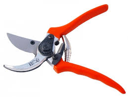 secateurs