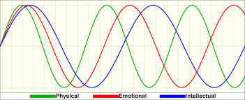 biorhythm