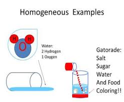 homogeneous