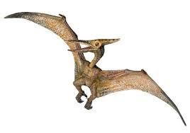 pterodactyl