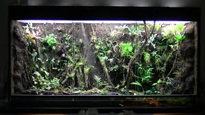 vivarium