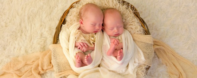 單絨雙羊雙胞胎成活率 單卵雙胎單絨雙羊存活率高不高