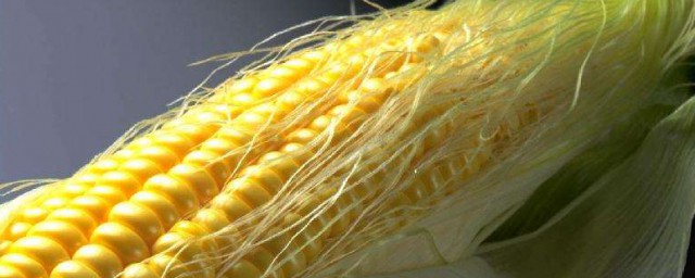 玉米用什麼化肥好 教你如何正確種植玉米