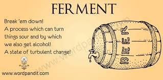 ferment