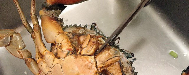 傢庭洗螃蟹的方法 試試做這4個步驟