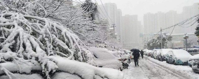 澳大利亞下雪嗎 你瞭解麼