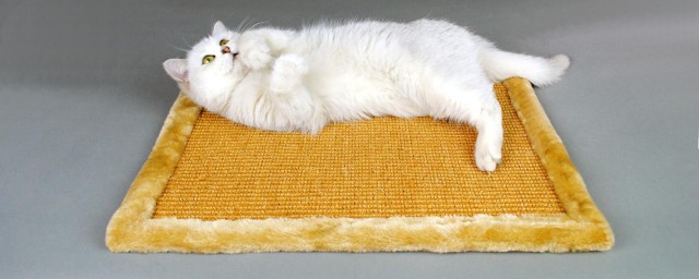 砂紙能做貓抓板嗎 貓抓板怎麼做